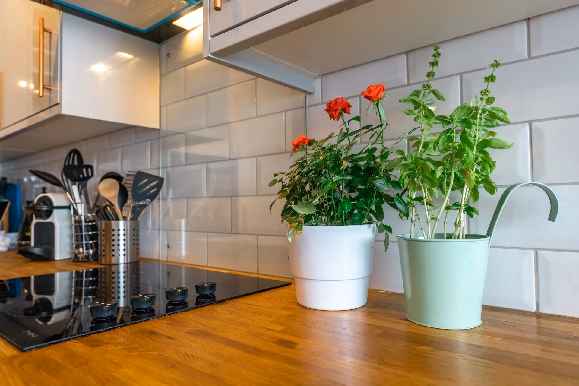 Feng Shui cozinha