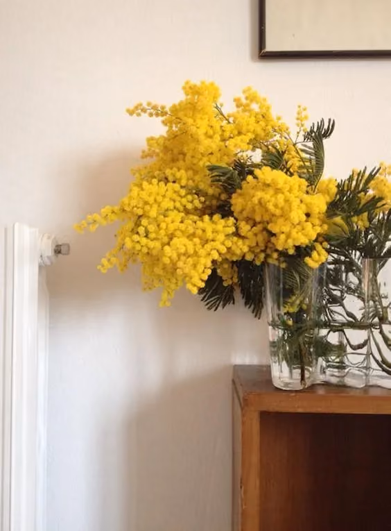feng shui sala