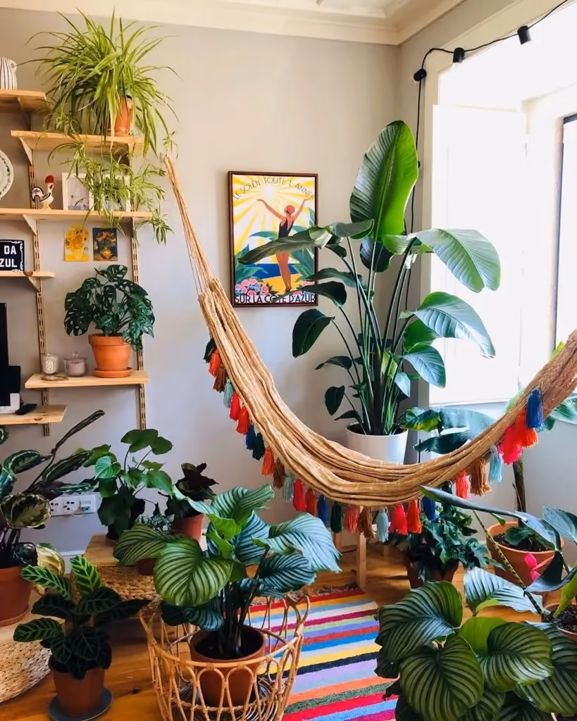 Urban Jungle
