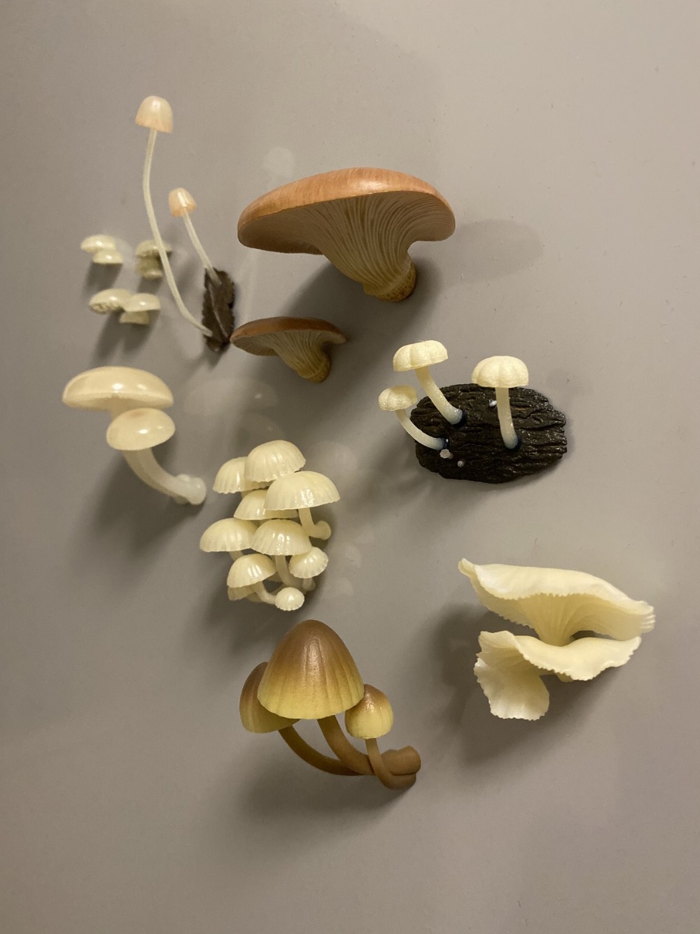Decorgumelo